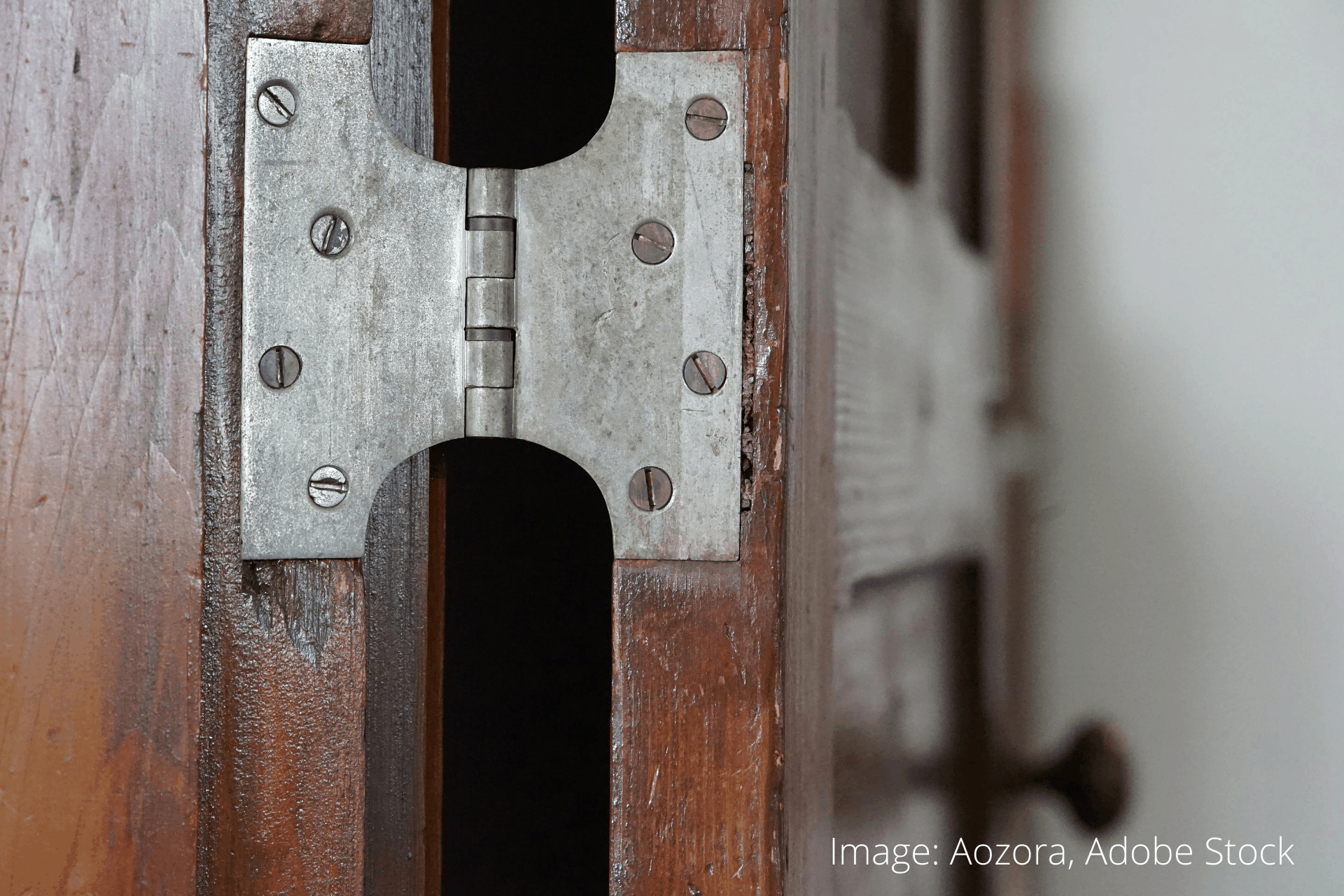 Door hinges