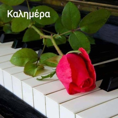 ΦΤΙΑΞΤΟ ΜΟΝΟ ΣΟΥ ΜΠΟΡΕΊΣ