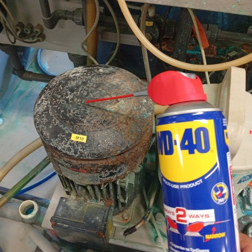 ΞΕΣΚΟΥΡΙΑΣΜΑ