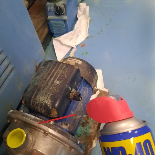 ΞΕΣΚΟΥΡΙΑΣΜΑ