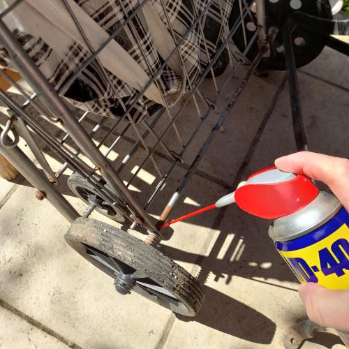 ΛΙΠΑΝΣΗ ΡΟΔΑΣ