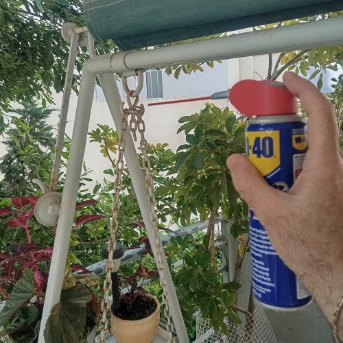 Κούνια που τρίζει